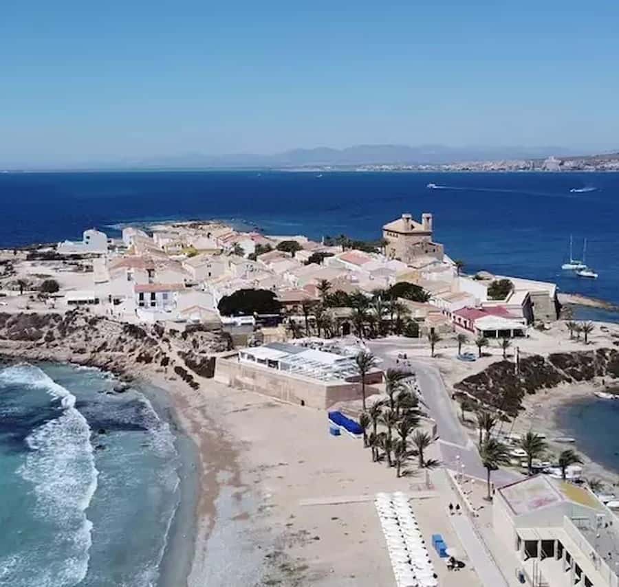 Alicante/Torrevieja: Excursion to Tabarca by ferry, Santa Pola, and Laguna Rosa - Key highlights you’ll actually care about