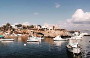 Alicante/Torrevieja: Excursion to Tabarca by ferry, Santa Pola, and Laguna Rosa - Ferry to Tabarca from Santa Pola: a short ride with big payoff