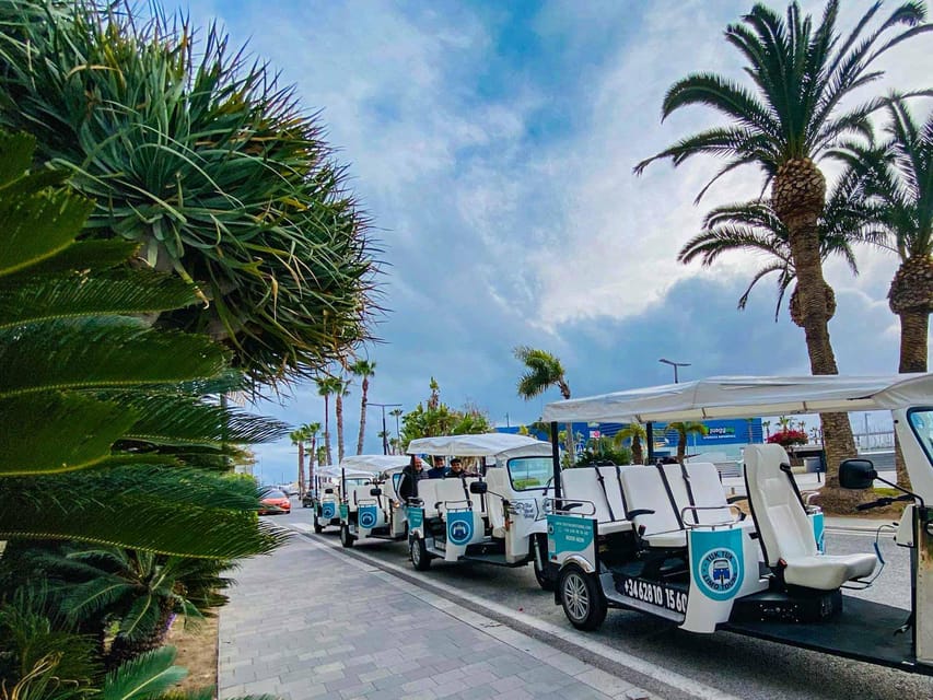Alicante Tuk Tuk Overview Tour - Port Area, Explanada de España, and the Volvo Ocean Race Museum Stop