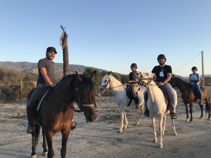 Almeria: Horse Riding Tour Through the Tabernas Desert - Horseback in the Tabernas Desert: What Makes This 2-Hour Ride Work