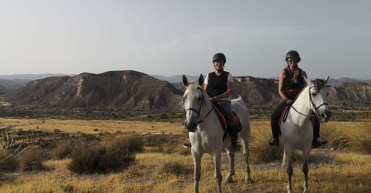 Almeria: Horse Riding Tour Through the Tabernas Desert - Rancho Malcaminos Meeting Point: Follow Directions, Skip GPS Guessing