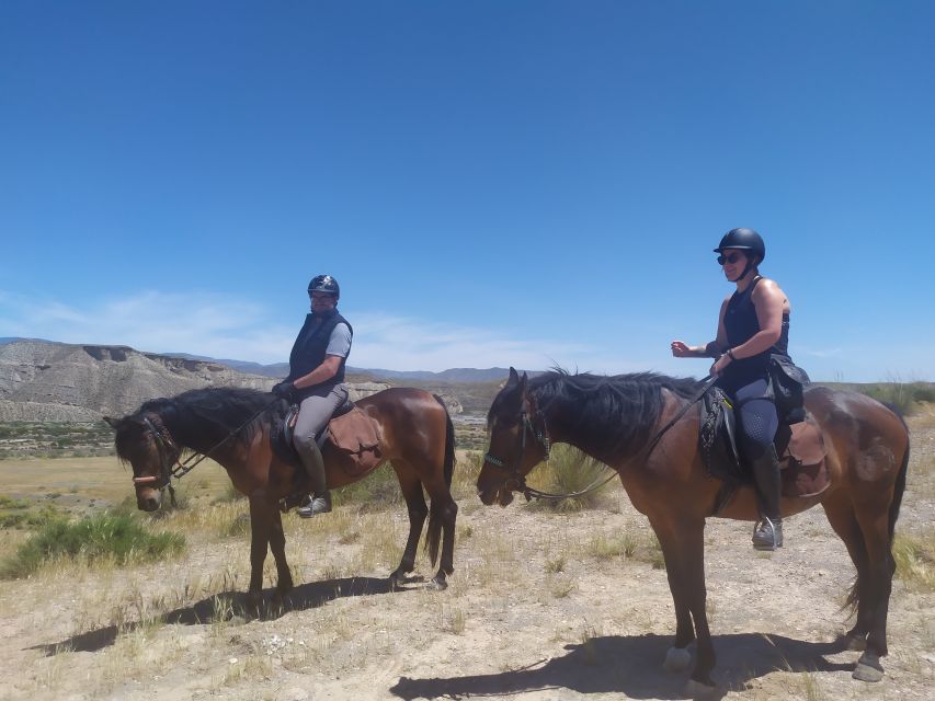 Almeria: Horse Riding Tour Through the Tabernas Desert - What to Wear and Bring: Closed Shoes, Long Pants, Sun Protection, and Insects