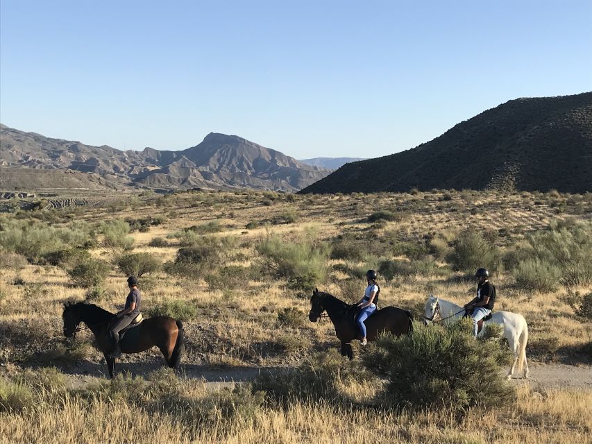 Almeria: Horse Riding Tour Through the Tabernas Desert - Should You Book This Tabernas Horse Riding Tour Through Rancho Malcaminos?