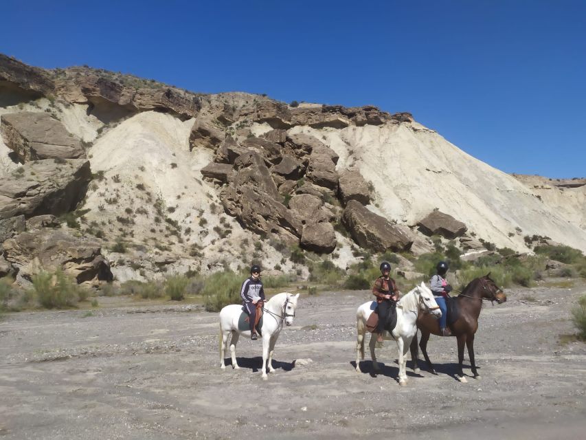Almeria: Horse Riding Tour Through the Tabernas Desert - Getting Ready on the Ranch: Helmet, Optional Body Protector, and a Real Starter Lesson