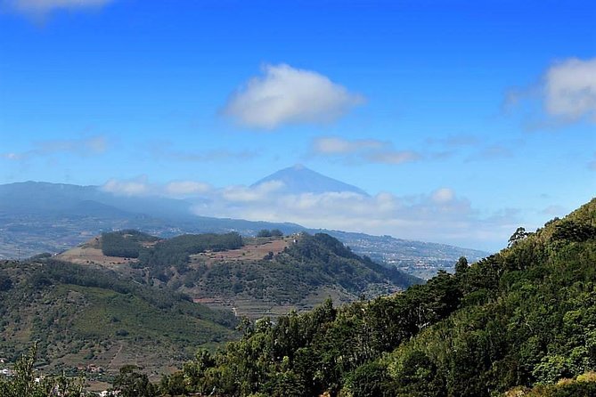 Amazing Anaga - Parque Rural de Anaga: The Main Event