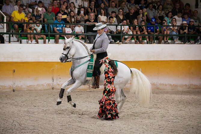 Andalusian Horses and Flamenco show with transportation - The show: what Ritmo a Caballo & Andalusian Night really delivers