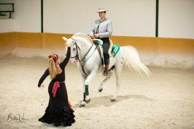 Andalusian Horses and Flamenco show with transportation - At the ranch: stables, seating, and the real-world comfort checks
