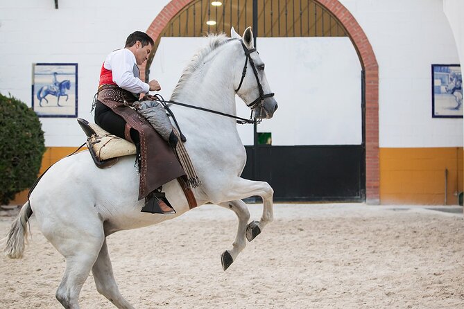 Andalusian Horses and Flamenco show with transportation - Transfers, on-board Wi‑Fi, and on-site extras that matter