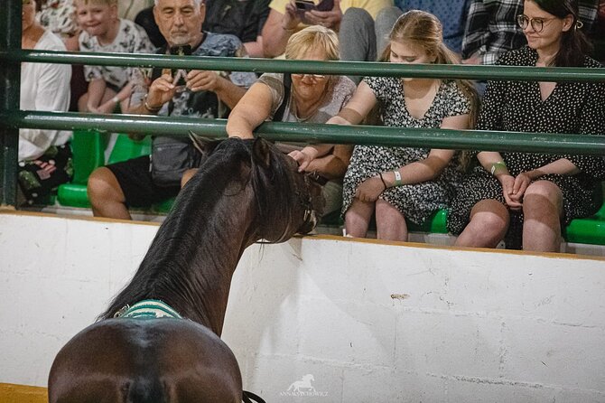 Andalusian Horses and Flamenco show with transportation - FAQ