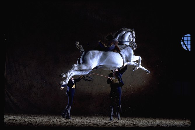 Andalusian Horses Dance Show - Key things to know before you go