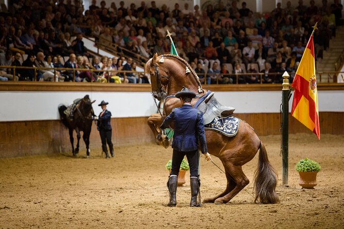 Andalusian Horses Dance Show - Where the show lives: Royal Andalusian School in Jerez