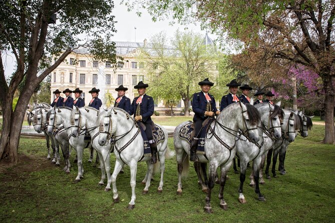 Andalusian Horses Dance Show - Family-friendly? Yes, with the usual kids-and-comfort caveats