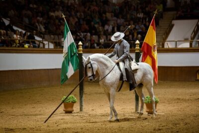Andalusian Horses Dance Show - The 90-minute show format: 6 to 8 choreographies in rotation