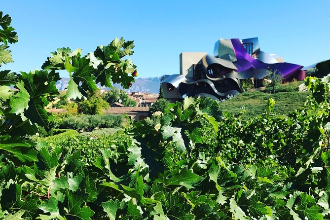 Architectural Rioja Small Group Wine Tour with Lunch from Bilbao - Laguardia tapas lunch: the medieval village reset you’ll appreciate