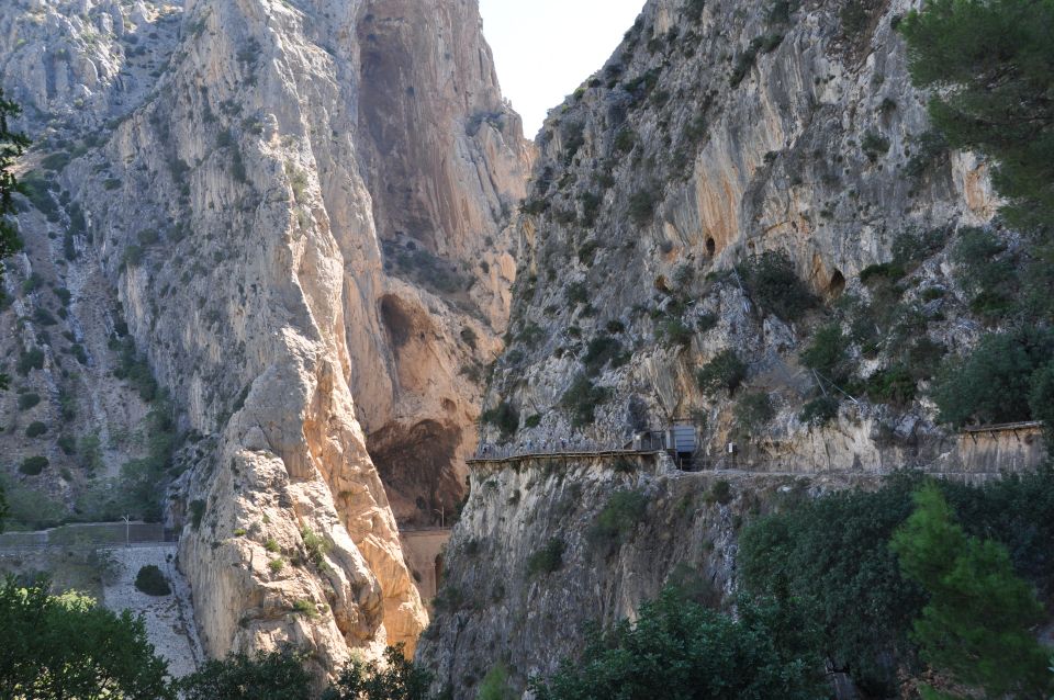 Ardales: Caminito del Rey & El Gaitanejo Guided Walking Tour - The guide makes it click: history, geology, legends, and wildlife