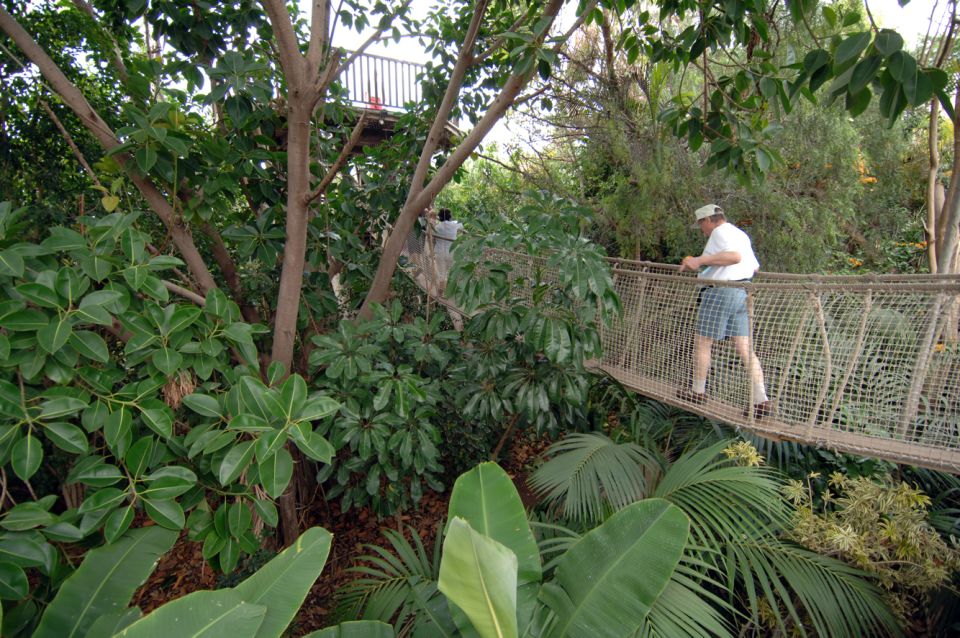 Arona: Entry Ticket to Tenerife's Jungle Park Zoo - Entering Arona Jungle Park and Getting Oriented Fast