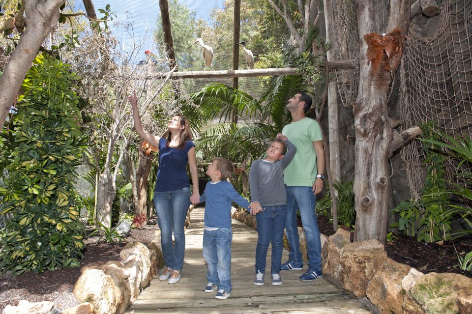 Arona: Entry Ticket to Tenerife's Jungle Park Zoo - Plan Your One Day: Build the Route Around Shows