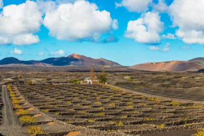 Arrecife: Timanfaya and Green Lagoon for Cruise Passengers - Getting From the Cruise Terminal to the Bus: Fast and Clear