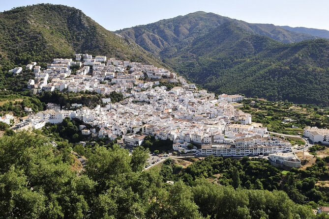 Authentic Andalusia - Jeep Eco Tour (pick up from Marbella - Estepona) - The Jeep ride: why the “every half hour” stops matter