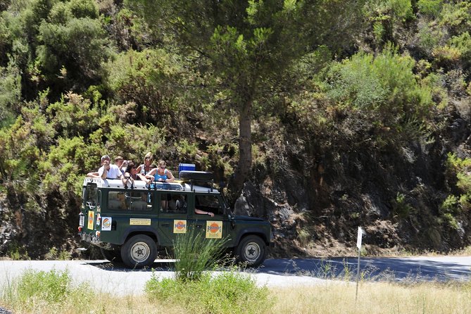 Authentic Andalusia - Jeep Eco Tour (pick up from Marbella - Estepona) - Monda: a lunch on the main square (and what to expect)