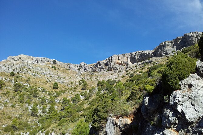 Authentic Andalusia - Jeep Eco Tour (pick up from Marbella - Estepona) - Price and value: is €139.07 money well spent?
