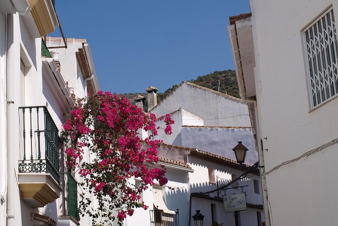 Authentic Andalusia - Jeep Eco Tour (pick up from Marbella - Estepona) - Who this tour suits best (and who should think twice)