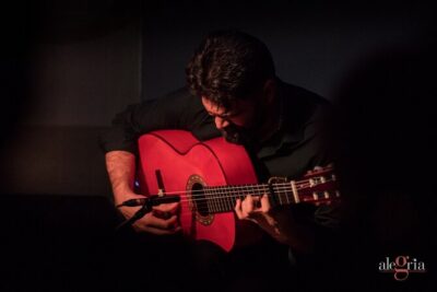 Authentic flamenco show. Alegria and gastronomy Malaga - The guitar, singing, and dance: what it feels like