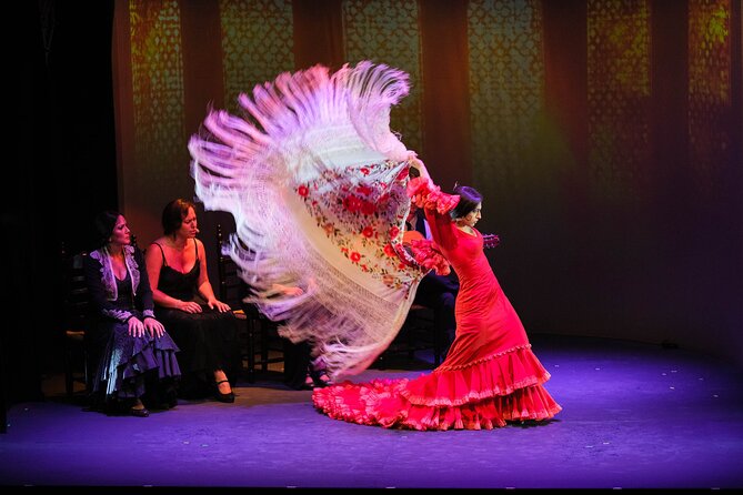 Authentic Flamenco Show at the Teatro Flamenco Granada - Price and logistics: why $21.72 can be a smart buy