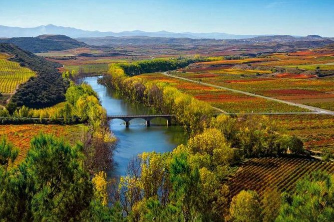 Authentic Rioja Wine Experience - Key moments that make this Rioja day work
