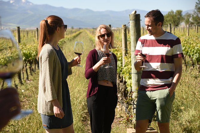 Authentic Rioja Wine Experience - Modern winery stop: oak barrels and how aging shapes taste
