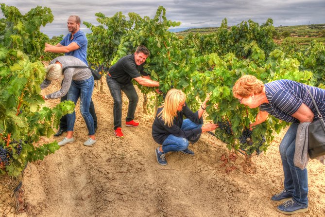 Authentic Rioja Wine Experience - Small-group touring up to 8: how the conversation stays alive