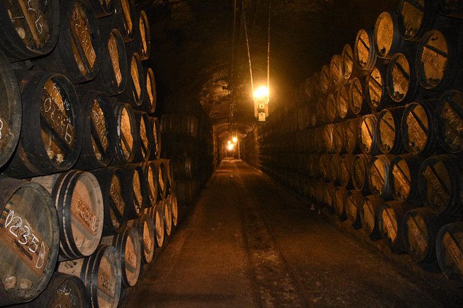 Authentic Rioja Wine Experience - Logistics that make the day easier: pickup, A/C, and time planning