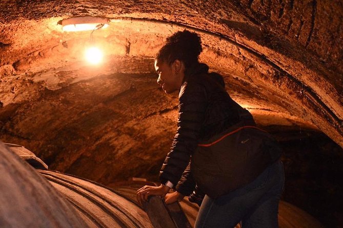 Authentic Rioja Wine Experience - The first winery: 15th–16th century caves and grape-stepping history