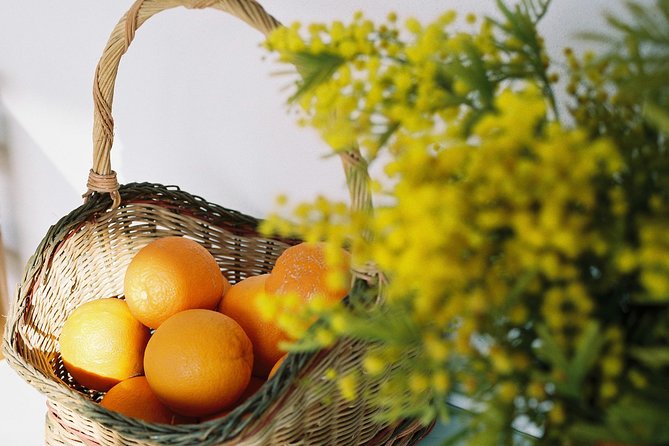 Authentic Valencian Paella Cooking Class - Best time to go and who this fits
