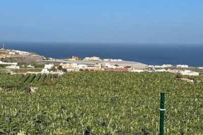 Banana Museum, Rum Distillery & Winery with Tasting: Premium tour - Stop 1: La Rekompensa Mundo del Platano (Banana Museum)