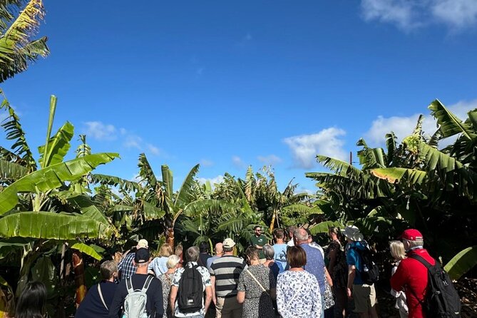 Banana Museum, Rum Distillery & Winery with Tasting: Premium tour - Stop 4: Arehucas Rum Tasting (18+)