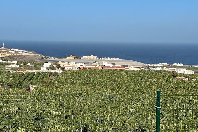 Banana Museum, Rum Distillery & Winery with Tasting: Premium tour - Stop 1: La Rekompensa Mundo del Platano (Banana Museum)
