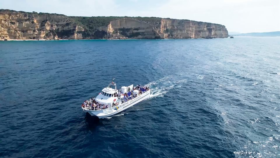 Barbate: Dolphin and Whale Watching in Cape Trafalgar - Price and Time: What $53 Buys You (and What It Might Not)