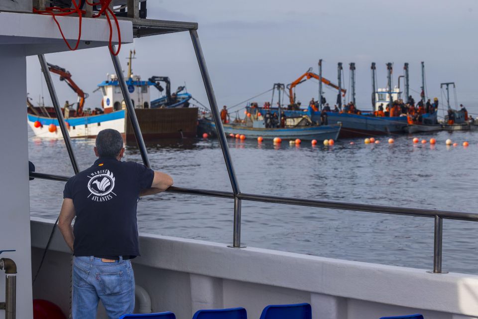 Barbate: Sunset Cruise with Glass of Cava - Weather and timing: how to keep your plan safe