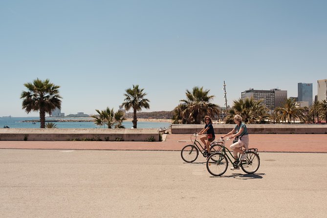 Barcelona 3-hour Bike or E-Bike Tour: Highlights and Hidden Gems - Meeting at Plaça Reial: palms, people, and an easy start