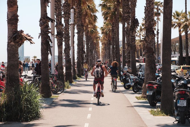 Barcelona 3-hour Bike or E-Bike Tour: Highlights and Hidden Gems - Port Olímpic and the Mediterranean stretch: Barcelona after 1992