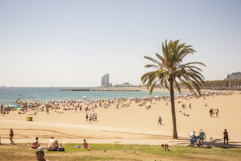 Barcelona: 3-Hour Segway Sightseeing Tour - Vila Olímpica and Olympic Port: how 1992 reshaped Barcelona