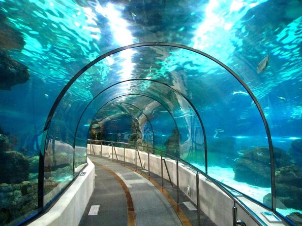 Barcelona Aquarium Skip the Line Ticket - Key points before you go