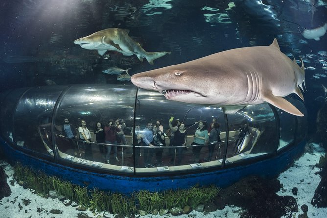 Barcelona Aquarium Skip the Line Ticket - Skip-the-Line Ticket: what it really saves you