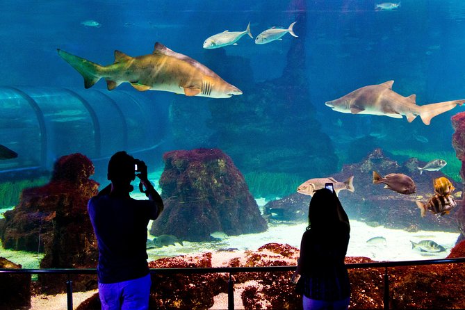 Barcelona Aquarium Skip the Line Ticket - Value check: what you get for about $38.44