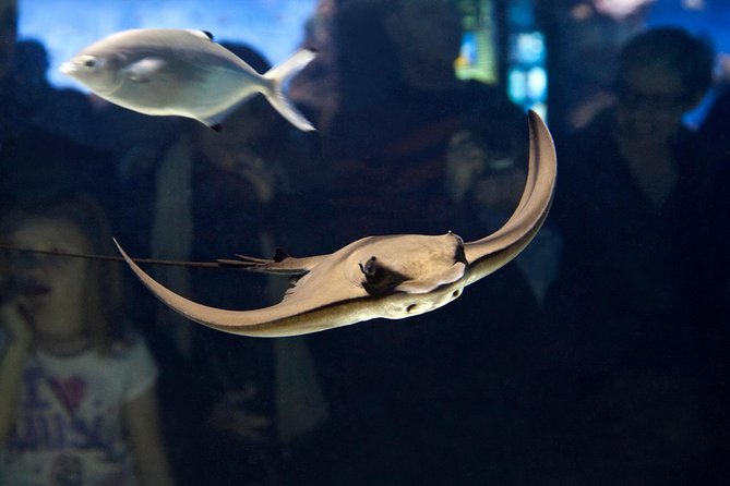 Barcelona Aquarium Skip the Line Ticket - How long you’ll need: keep it to about one hour