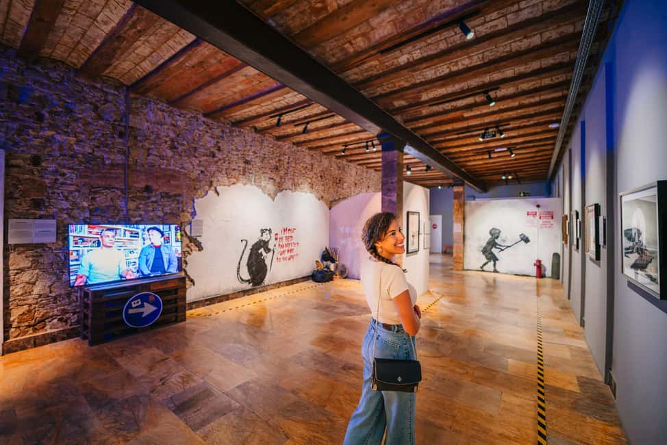 Barcelona: Banksy Museum, Permanent Exhibition Ticket - The main drawback to consider before you buy
