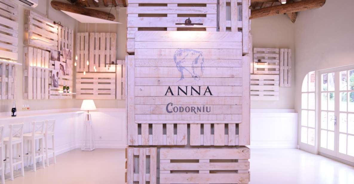 Barcelona: Casa Codorníu Guided Tour with Cava Tastings - Sala Puig to the Museum: how the tour teaches you cava fast