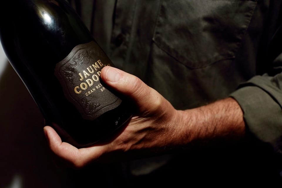 Barcelona: Casa Codorníu Guided Tour with Cava Tastings - The tasting: 3 premium cavas and 3 types of chocolate