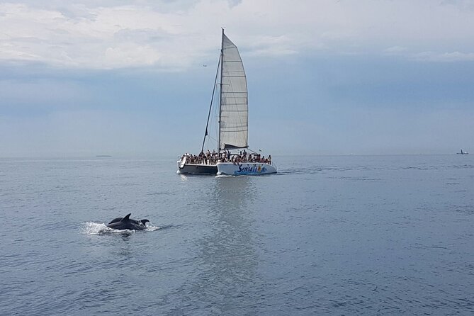 Barcelona Catamaran Party Tour For Young People - Weather, wind, and seasickness: how to prepare in Barcelona